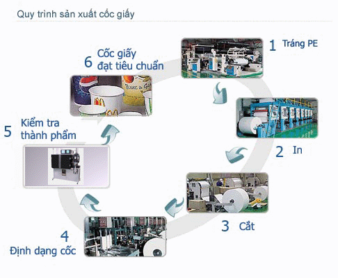 quy-trinh-san-xuat-coc-giay